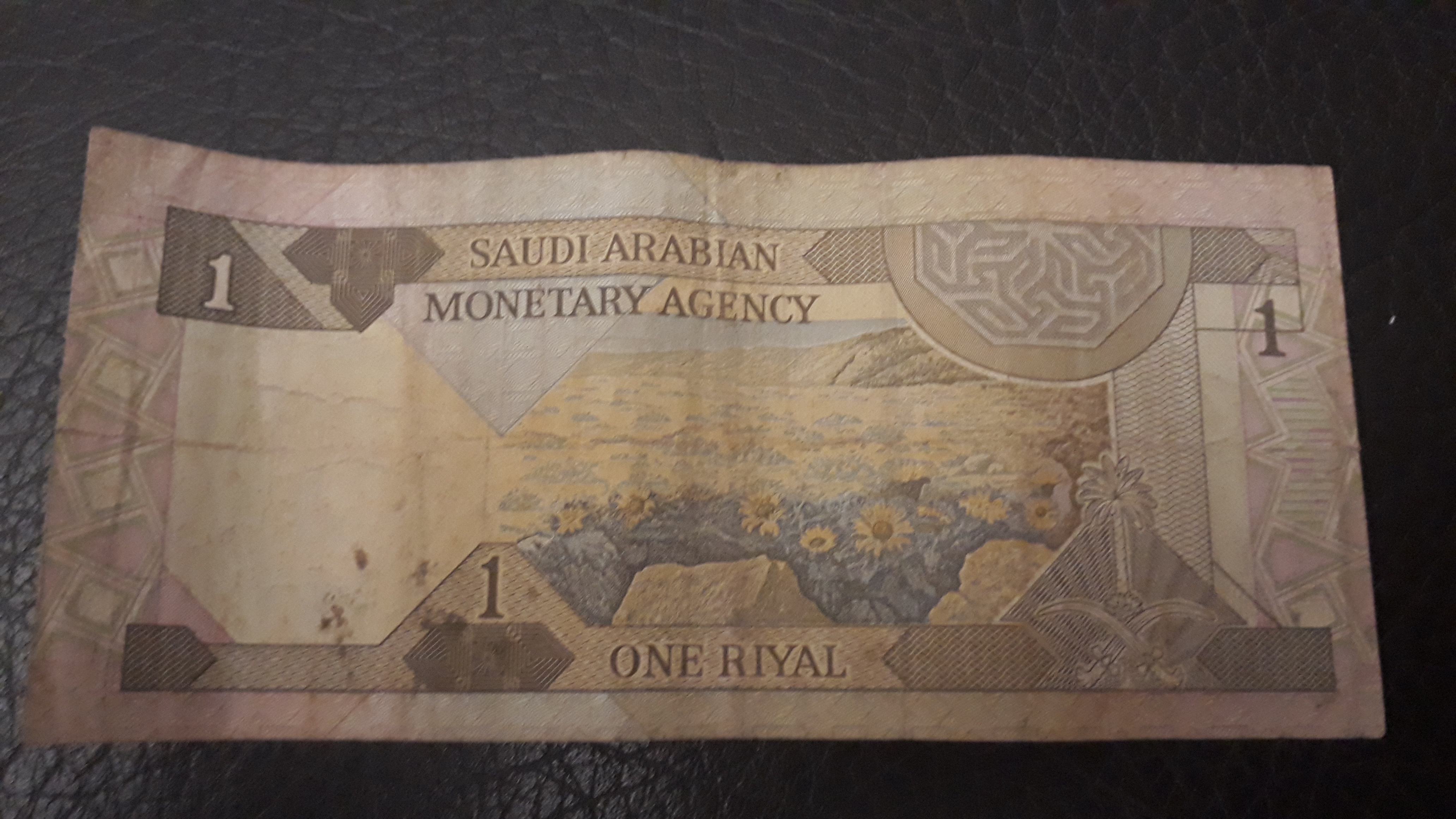 Suudi arabistan riyali