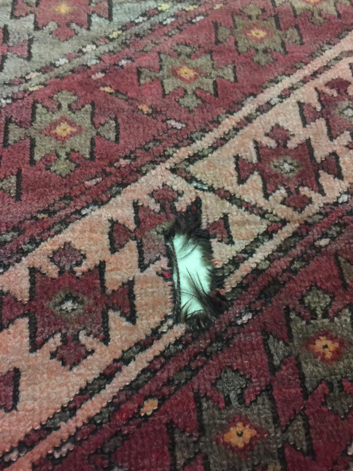 130 YILLIK İRAN KÖK BOYA YÜN HALI