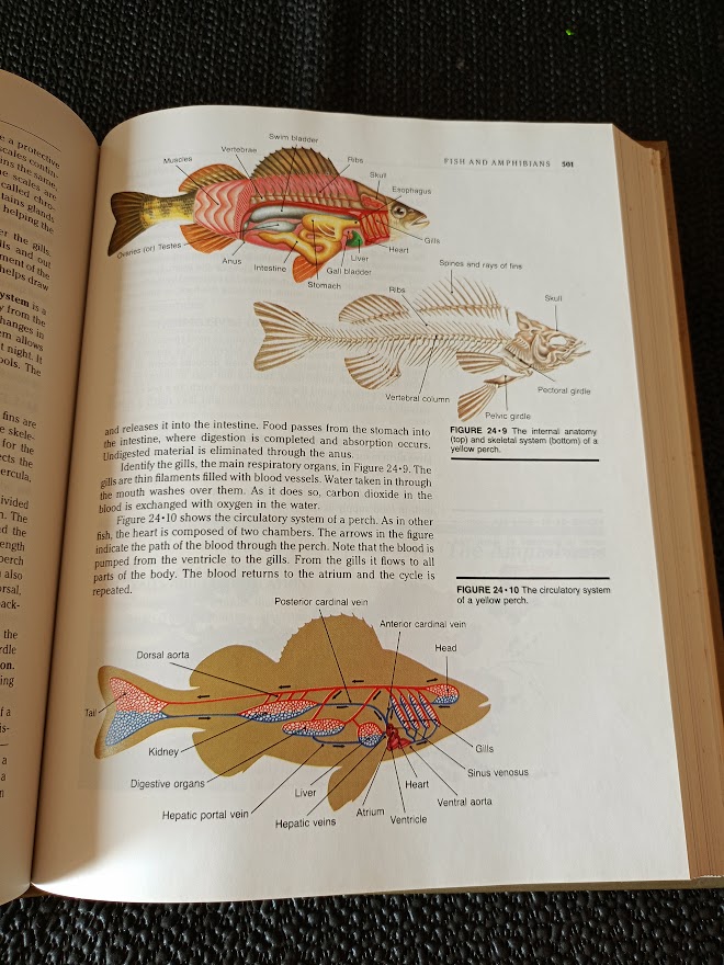 SILVER BURDETT BIOLOGY - PETER ALEXANDE..